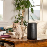 LEVOIT Air Purifiers for Bedroom Home, 3-in-1 Filter Cleaner with Fragrance Sponge for Better Sleep, Filters Smoke, Allergies, Pet Dander, Odor, Dust, Office, Desktop, Portable, Core Mini-P, Black